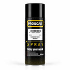 Spray Pintura Texturizada para Plásticos Negro 400 ml | PRO&CAR